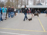 CACIB ADA