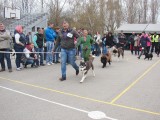 CACIB ADA