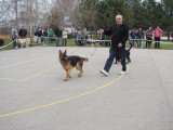 CACIB ADA
