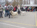CACIB ADA