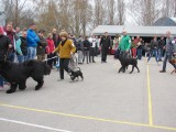 CACIB ADA